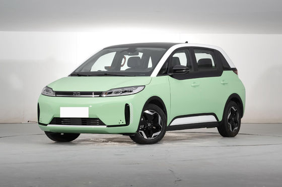 D1 BYD New Energy Vehicles 418KM Durable Electric EV Car MPV Version