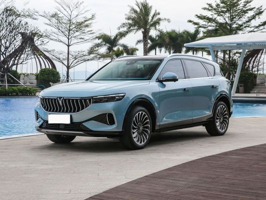 Voyah Free SUV Electric Car 4 Wheel Drive High Speed 200 Km/h New Energy