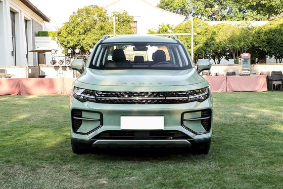 Sports Pickup EV Car 400km Left Hand Geely Radar RD6 Electric Vehicle For Transport